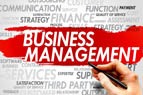 Business and Management